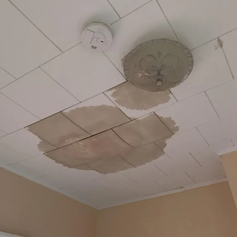 Ceiling Water Damage Repair in Whitman, PA