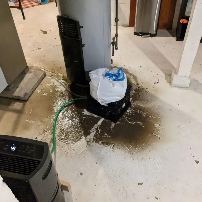 Sewage Backup Cleanup Service in Whitman, PA